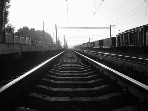 В России могут запустить железнодорожные чартерные перевозки. Со снижением цены за билет 