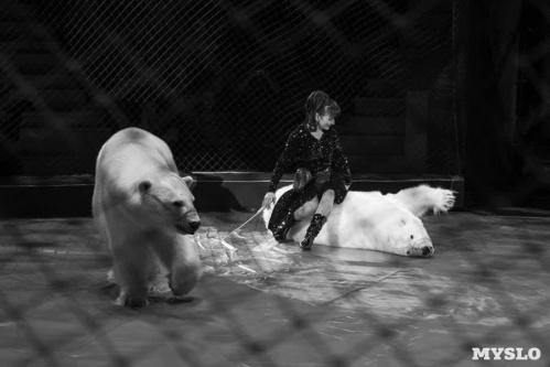 В Саратовском цирке  - "Шоу белых медведей". Единственный в мире аттракцион