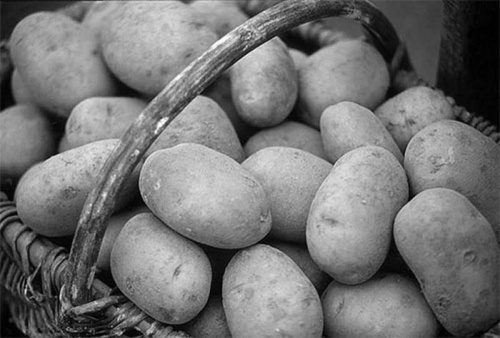 Кто взвинчивает цены на картофель. Эксперты заявляют о сговоре