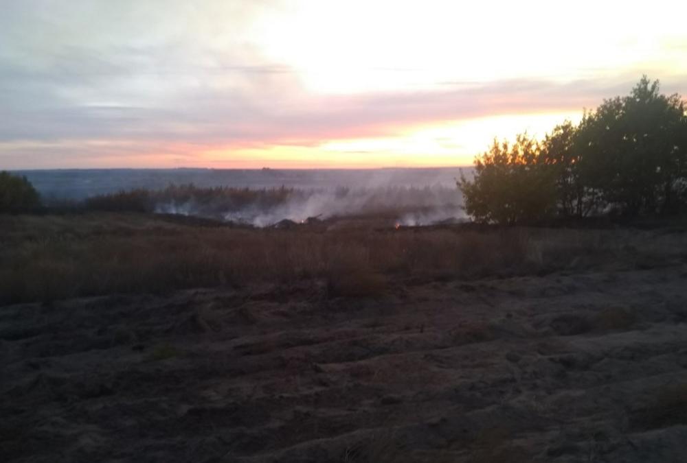 В Лысогорском районе из-за лесного пожара введен режим ЧС