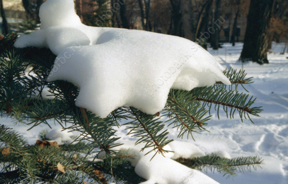 МЧС предупреждает о резком понижении температуры воздуха