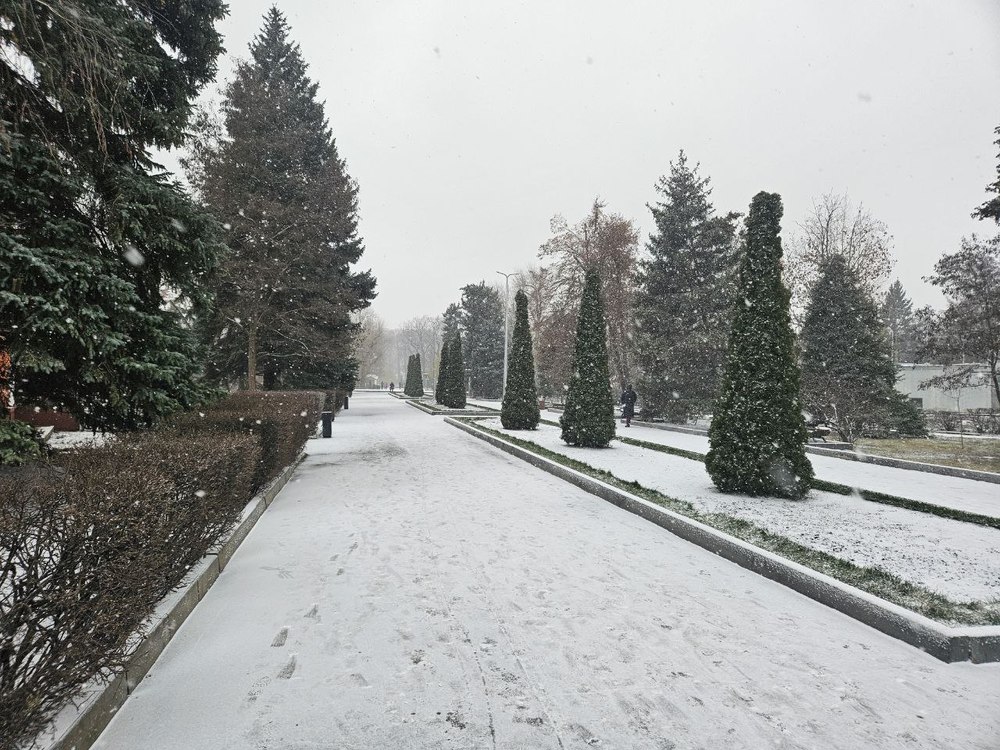 По прогнозам, слабый мороз и небольшой снег