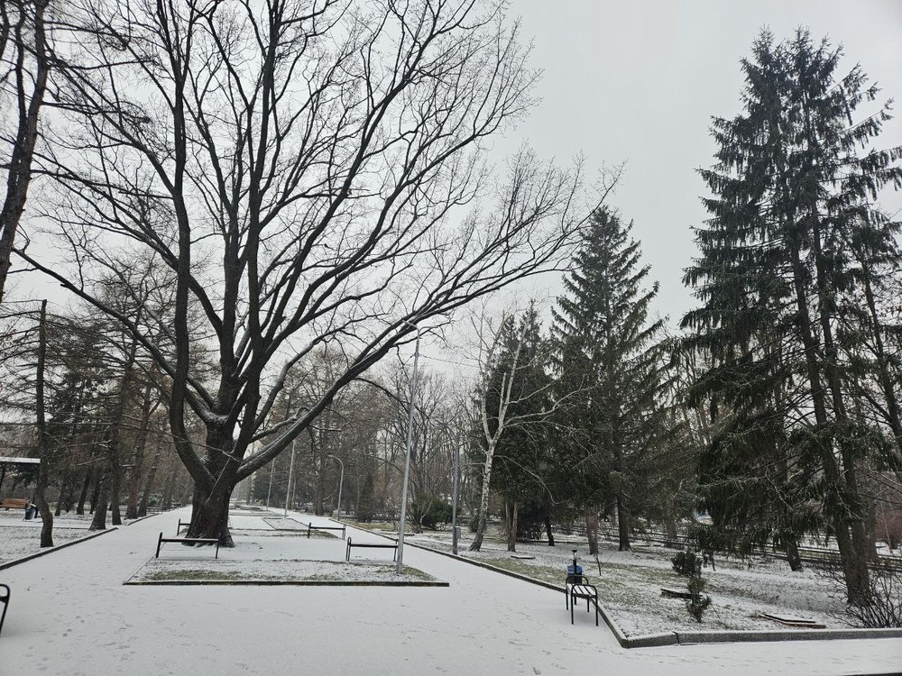 Прогнозируются температурные качели, снег и дождь 