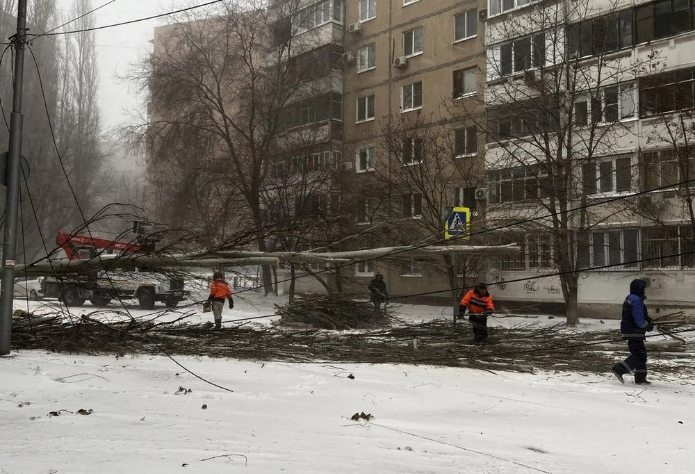 Спасатели предупредили жителей области о надвигающемся шторме