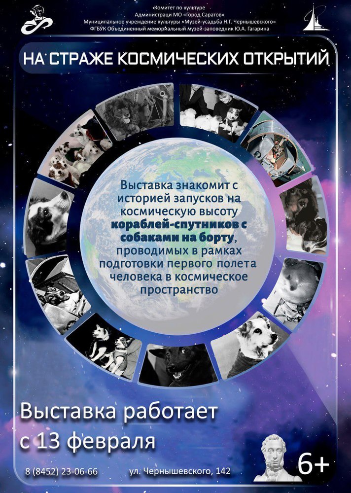 В музее открылась выставка о собаках-космонавтах