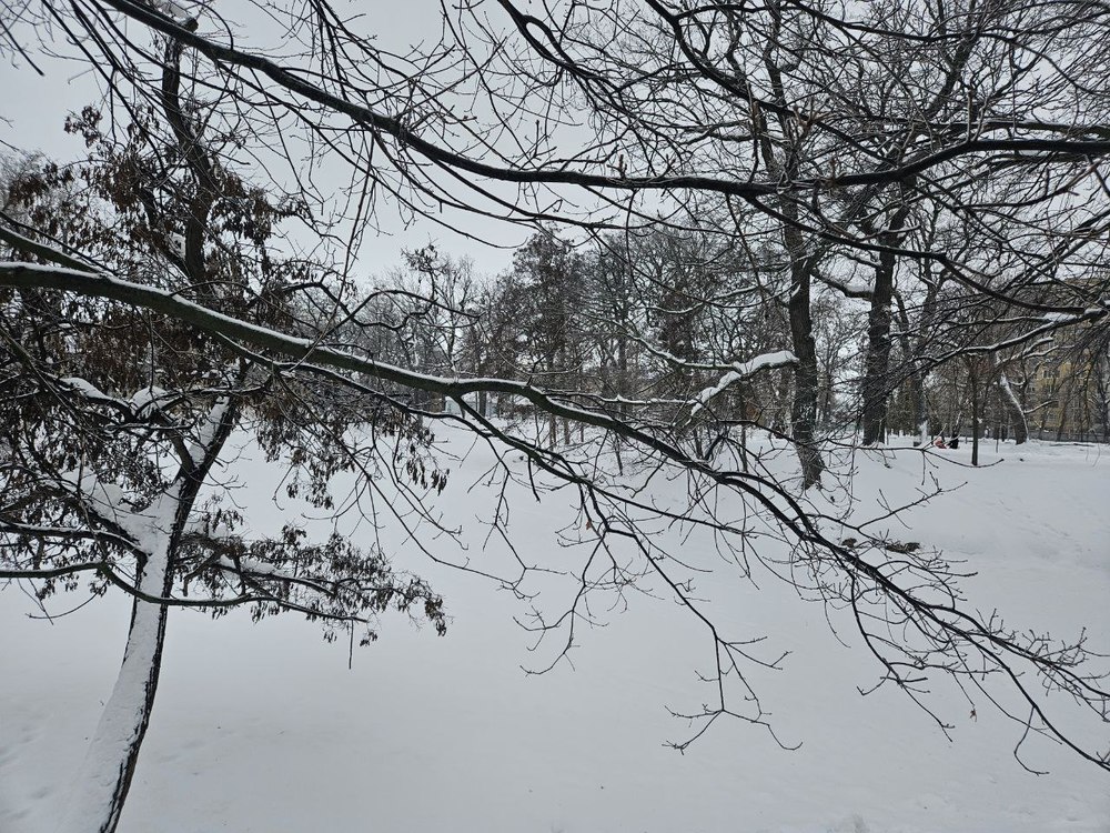 В регион вернутся морозы до минус 26 градусов