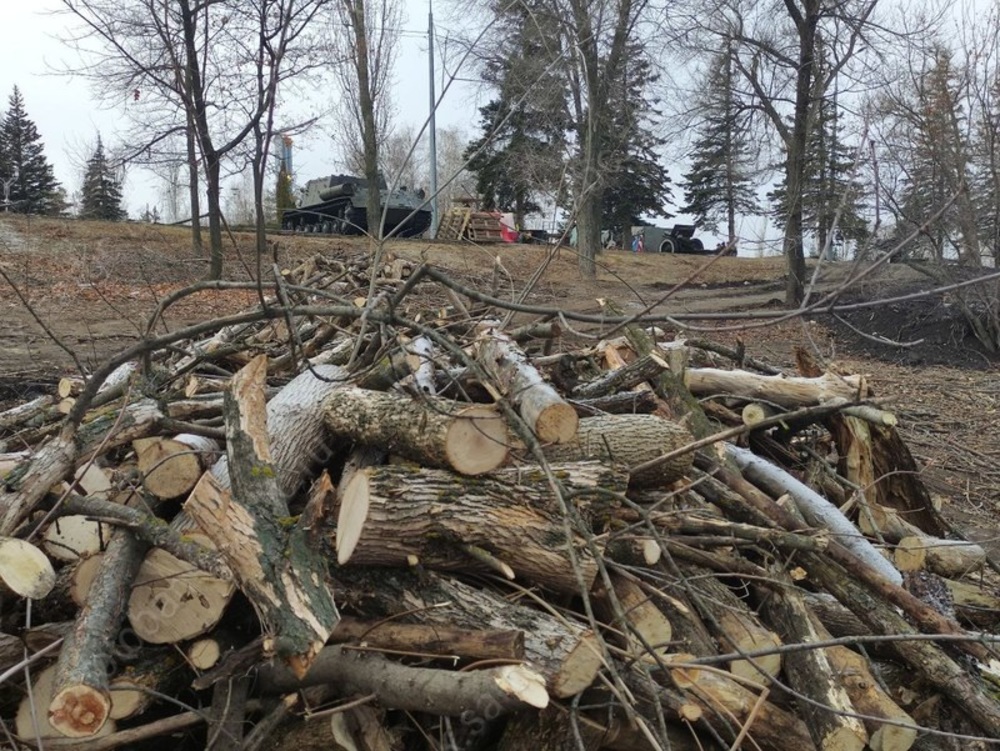 Времена. Первая денежная реформа, Бусаргин призвал сделать Саратов 