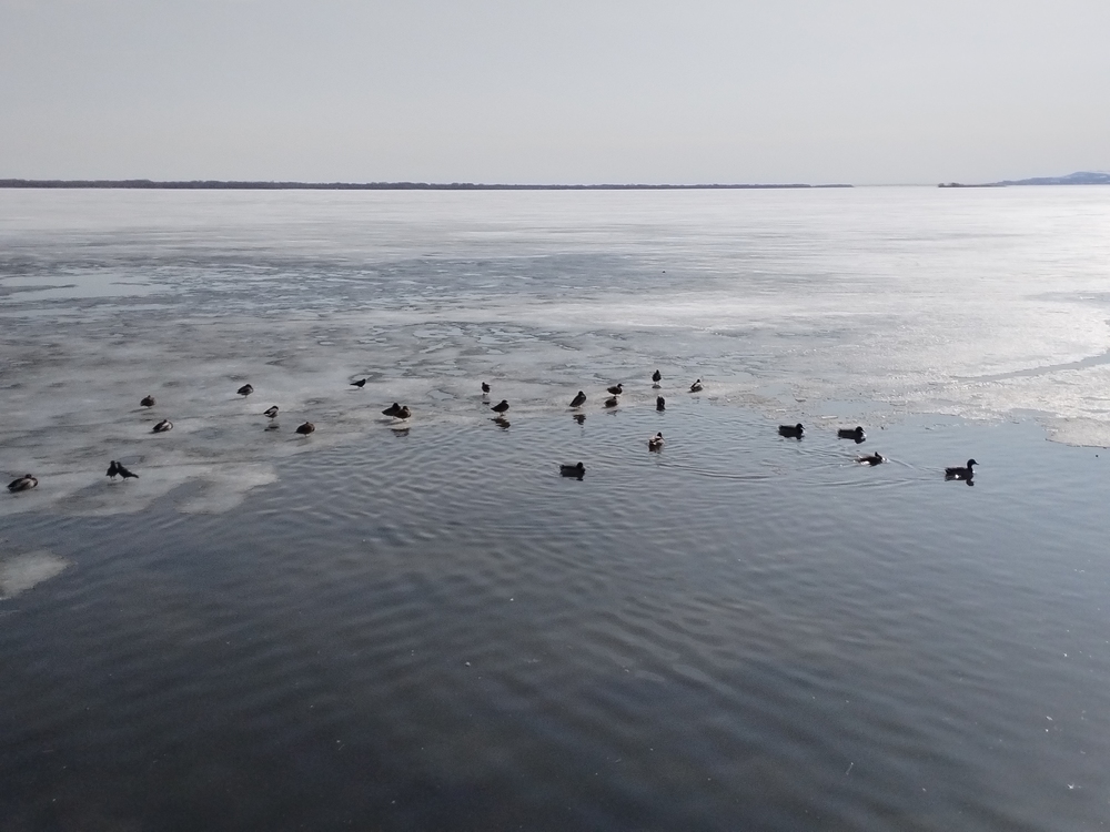 Выходные будут облачными и без осадков