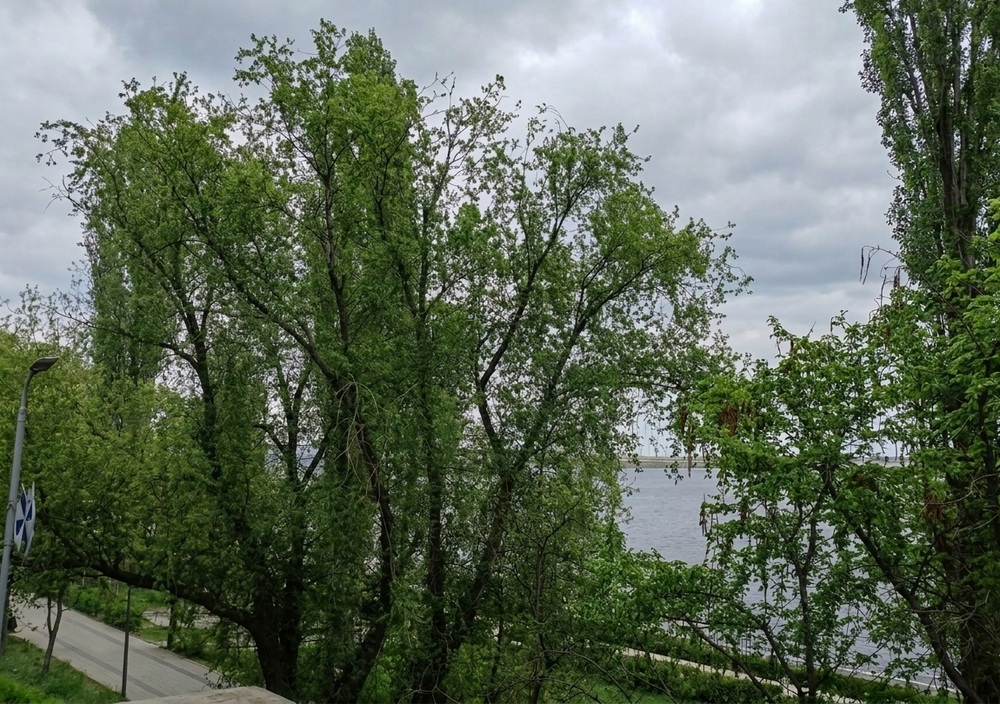 Воскресенье будет тёплым и пасмурным