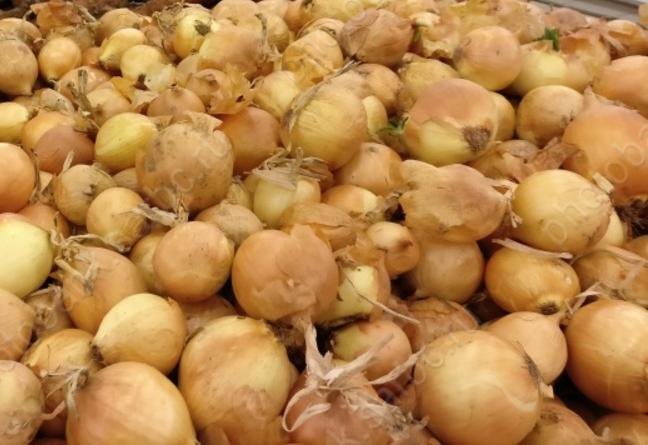 За неделю заметно изменились цены на 15 продуктов