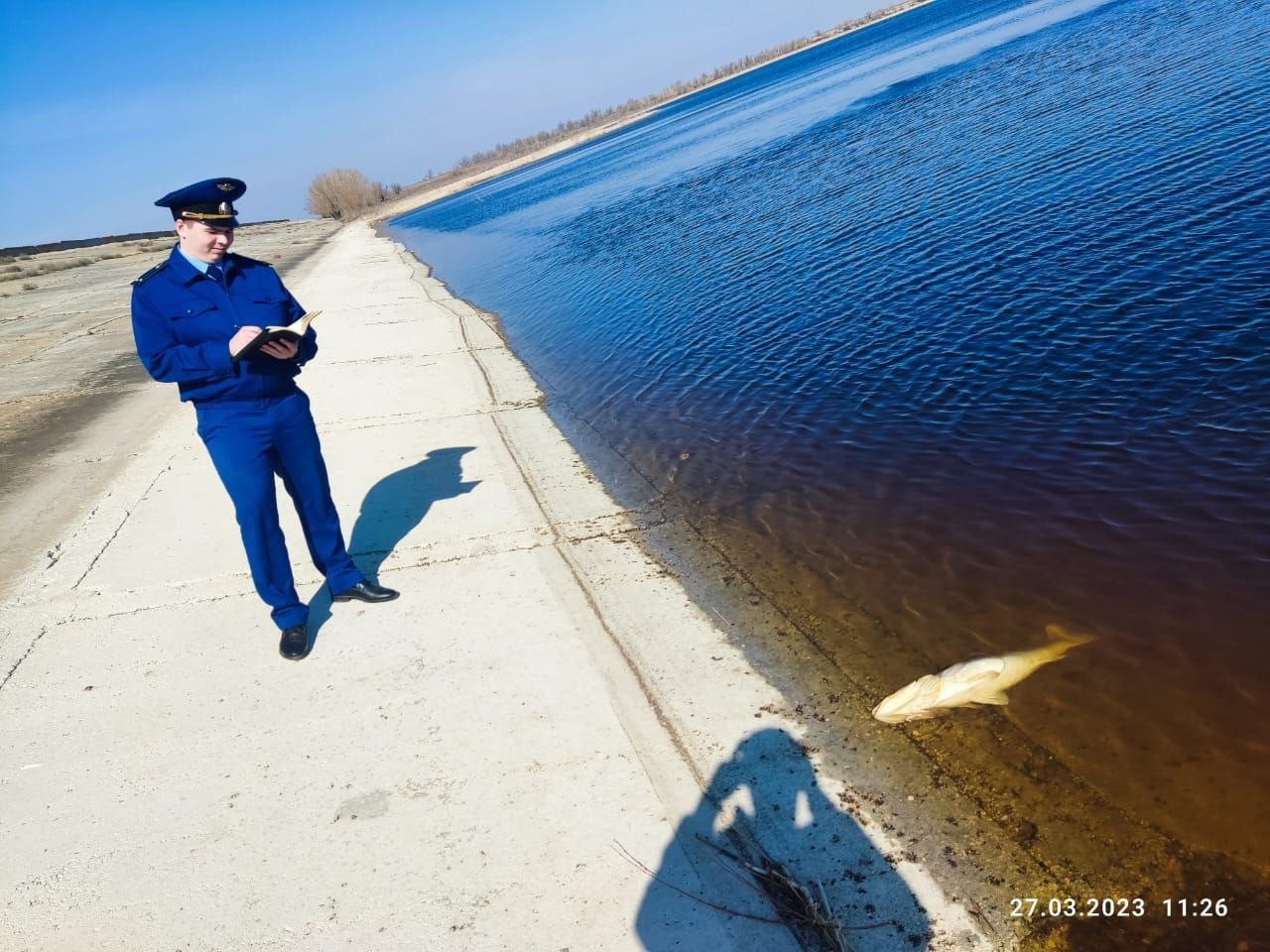 Выясняются причины массовой гибели рыбы в водохранилище | 27.03.2023 |  Саратов - БезФормата