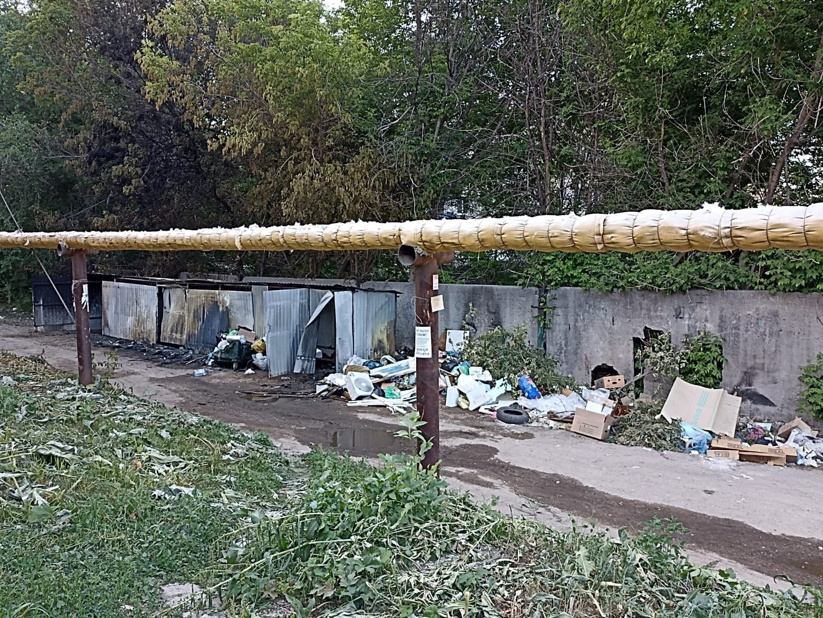 Жители Крекинга жалуются на малолетних пироманов | 31.05.2024 | Саратов -  БезФормата